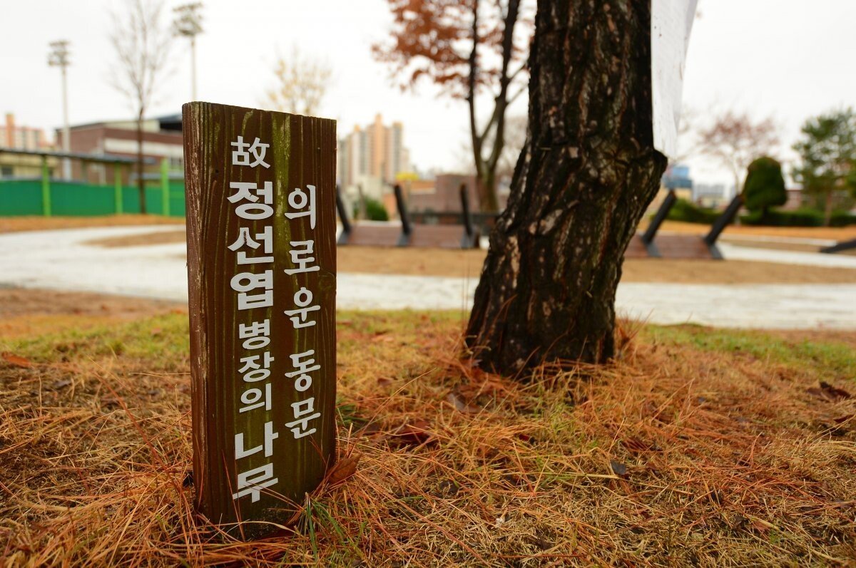 법원, ‘서울의 봄’ 故정선엽 병장 유족에 국가 배상 판결｜동아일보